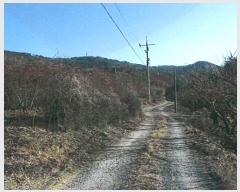  2024Ÿ11139     285      (1)