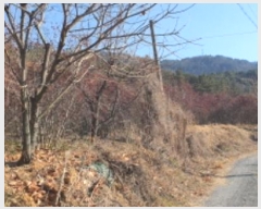  2024Ÿ11139     285      (1)