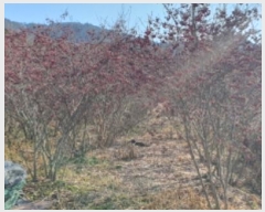  2024Ÿ11139     285      (1)