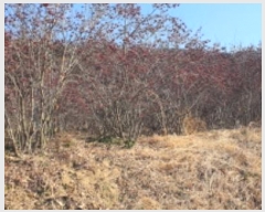  2024Ÿ11139     285      (1)