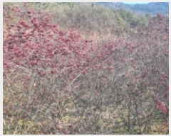  2024Ÿ11139     285      (1)