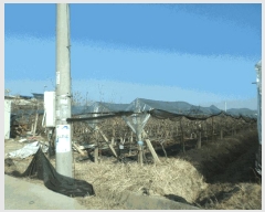  2024Ÿ11221   ̸ 縮 918      ()