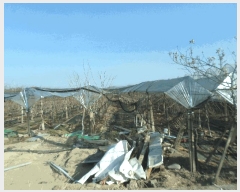  2024Ÿ11221   ̸ 縮 918      ()