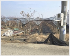  2024Ÿ11221   ̸ 縮 918      ()