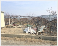  2024Ÿ11221   ̸ 縮 918      ()