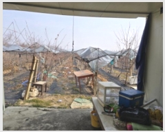  2024Ÿ11221   ̸ 縮 918      ()