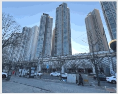  2024Ÿ11511 뱸  뱸 95, 101 232301ȣ (λ굿,̸)    Ʈ