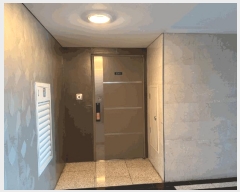  2024Ÿ11511 뱸  뱸 95, 101 232301ȣ (λ굿,̸)    Ʈ