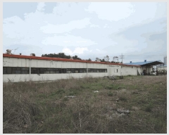  2024Ÿ105324   θ 踲 32-3      