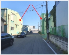  2024Ÿ��119613  ������