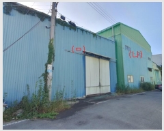  2024Ÿ��119613  ������