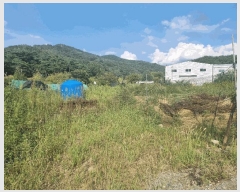  2024Ÿ��120354 ��� ĥ� ��õ�� ��ȭ�� 218-2      ����(��)���