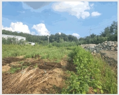  2024Ÿ��120354 ��� ĥ� ��õ�� ��ȭ�� 218-2      ����(��)���