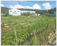  2024Ÿ��120354 ��� ĥ� ��õ�� ��ȭ�� 218-2      ����(��)���