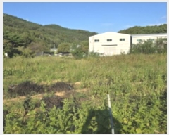  2024Ÿ��120354 ��� ĥ� ��õ�� ��ȭ�� 218-2      ����(��)���