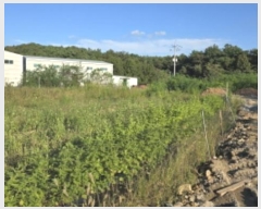  2024Ÿ��120354 ��� ĥ� ��õ�� ��ȭ�� 218-2      ����(��)���