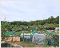  2024Ÿ121432 뱸   150-1       (1)