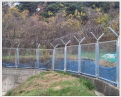  2024Ÿ121432 뱸   150-1       (1)