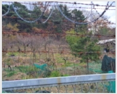  2024Ÿ121432 뱸   150-1       (1)