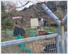  2024Ÿ121432 뱸   150-1       (1)