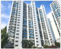  2024Ÿ��123278  ����Ʈ���