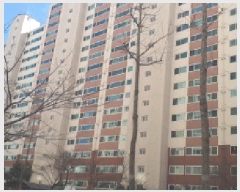  2024Ÿ124820    181, 507 7704ȣ (絿,ο׸)    Ʈ