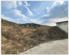  2024Ÿ��126543 �뱸 ���� ����� 581       ����(��)���