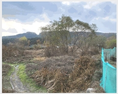  2024Ÿ��126543 �뱸 ���� ����� 581       ����(��)���