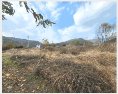  2024Ÿ��126543 �뱸 ���� ����� 581       ����(��)���