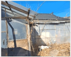  2024Ÿ128808   뼺 ϱ 281-2      ()