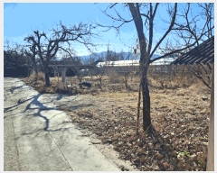  2024Ÿ128808   뼺 ϱ 281-2      ()