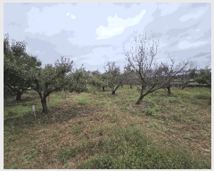  2024Ÿ128808   뼺 ϱ 281-2      ()