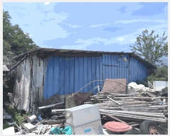  2024Ÿ��8539 ��� û���� �̼��� ���̸� 736      ���(�󰡽ü�)���