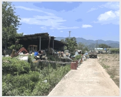  2024Ÿ8539  û ̼  125      (Ӿ)