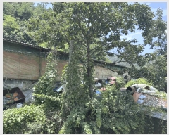  2024Ÿ8539  û ̼  125      (Ӿ)