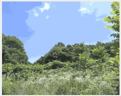  2024Ÿ8539  û ̼  125      (Ӿ)