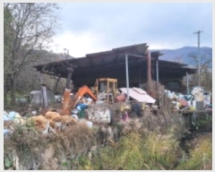  2024Ÿ8539  û ̼  125      (Ӿ)