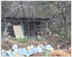  2024Ÿ8539  û ̼  125      (Ӿ)