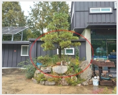  2024Ÿ9082  û  ſ 520-1      ܵ,ð