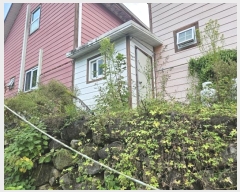  2024Ÿ��9204 ��� û���� ���ϸ� ���긮 1321-4      ���(ķ����)���