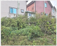  2024Ÿ��9204 ��� û���� ���ϸ� ���긮 1321-4      ���(ķ����)���