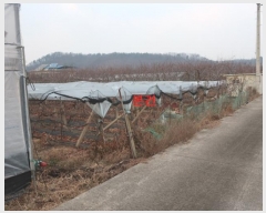  2024Ÿ11238  õ û  1300-45      ()