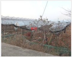  2024Ÿ11238  õ û  1300-45      ()