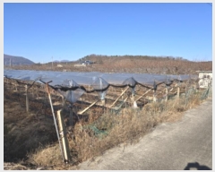  2024Ÿ11238  õ û  1300-45      ()