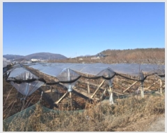  2024Ÿ11238  õ û  1300-45      ()