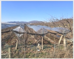  2024Ÿ11238  õ û  1300-45      ()