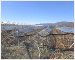  2024Ÿ11238  õ û  1300-45      ()