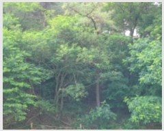  2024Ÿ110517 뱸 ϱ 浿 849       ()