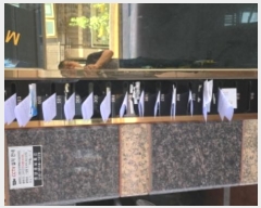  2024Ÿ��117112  �ٰ������ð��