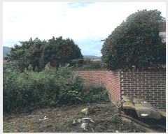  2024Ÿ118887  õ û ַø 246      ()